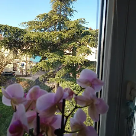 Luka Apartament Fažana
