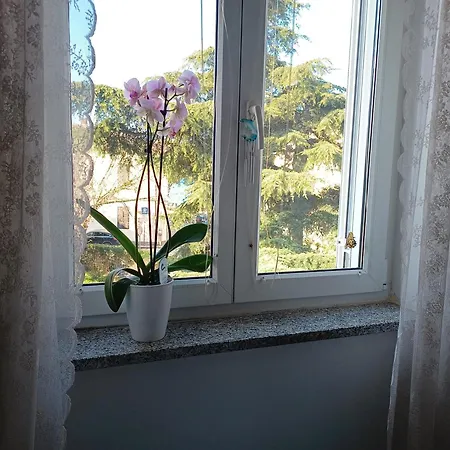 Apartment Luka *