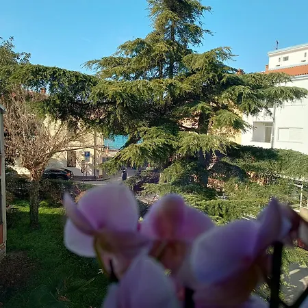 Luka Apartment *