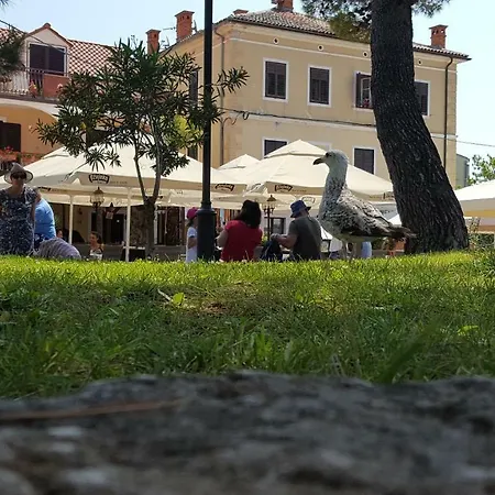 Luka Fazana